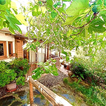 El Encanto Monachil Exteriör bild