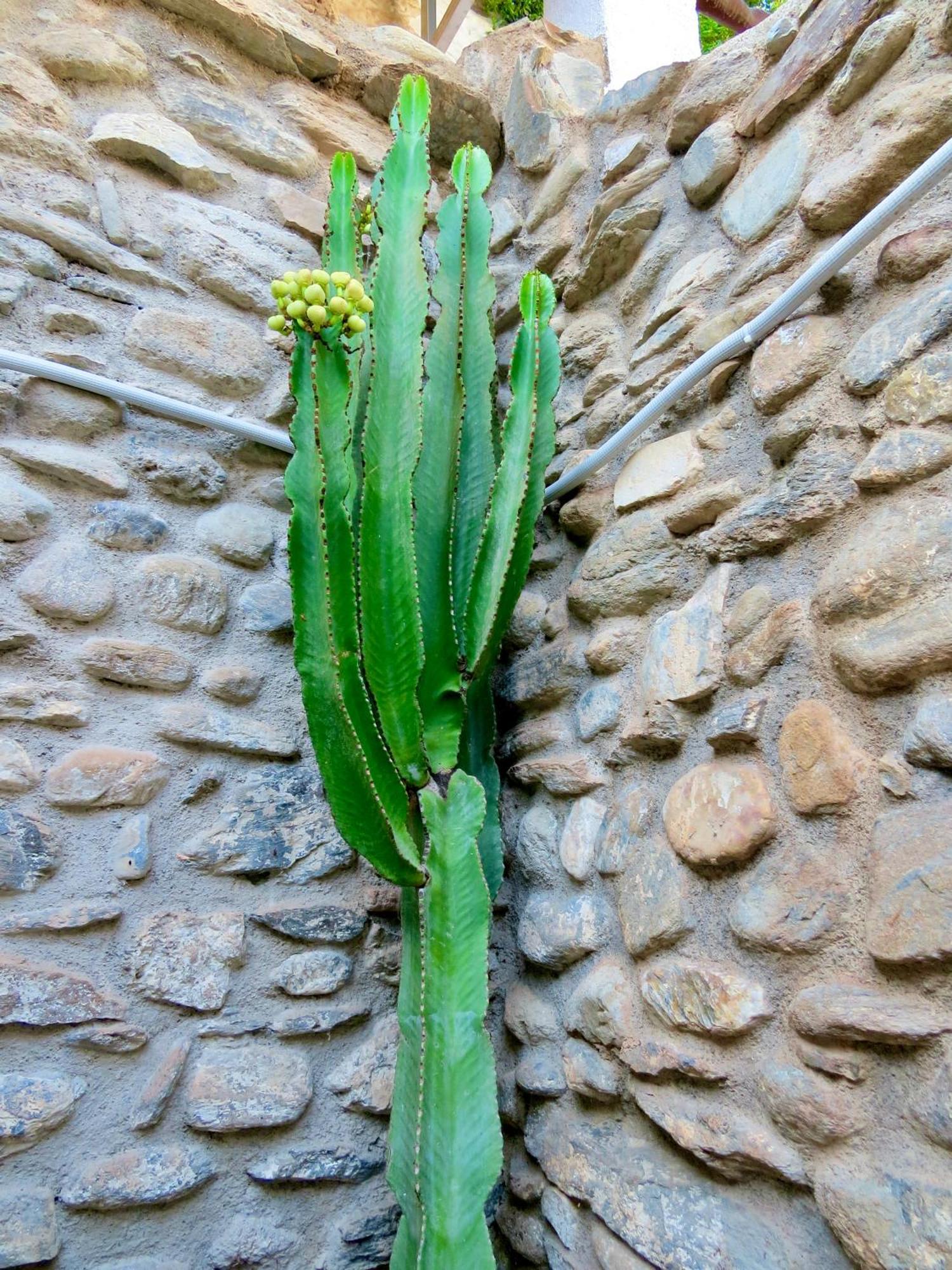 El Encanto Monachil Exteriör bild